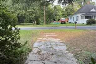 198 Holmesville Ave, Baxley, GA 31513 - Photo 28