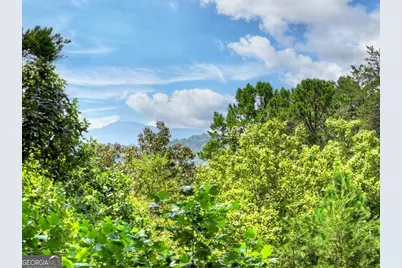 110 Bear Pause Road, Morganton, GA 30560 - Photo 54