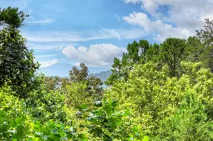 110 Bear Pause Rd, Morganton, GA 30560 - Photo 54