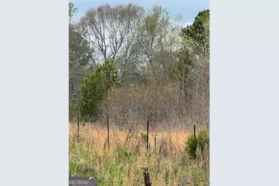 0 Holly Street, Hartwell, GA 30643 - Photo 4