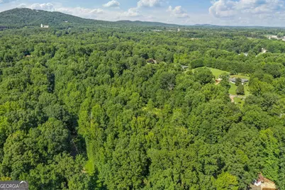 113 Hickory Trail, Cumming, GA 30040 - Photo 22