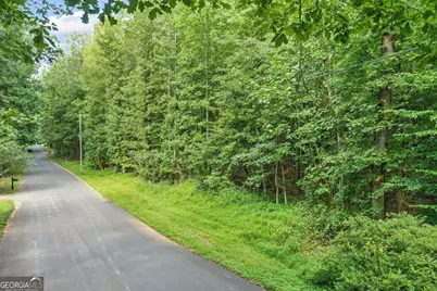 113 Hickory Trail, Cumming, GA 30040 - Photo 4