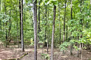 52 Twickenham Rd SE, Rome, GA 30161 - Photo 30