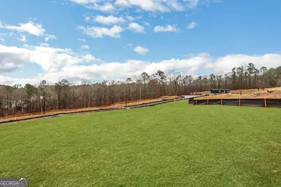 164 Henley Street, Canton, GA 30114 - Photo 46