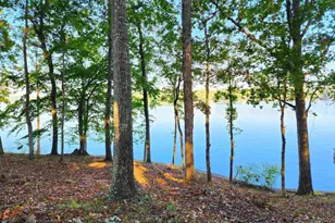 117 Horseshoe Cir, Eatonton, GA 31024 - Photo 58