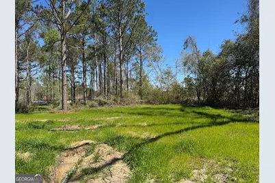 1505 W 4th St Extension, Alma, GA 31510 - Photo 22
