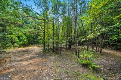 0 Sleepy Hollow Drive, Powder Springs, GA 30127 - Photo 2