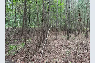 585 Galaxy Way, Ranger, GA 30734 - Photo 8