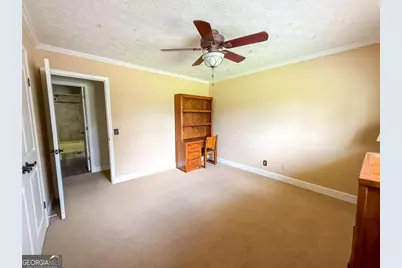 371 Burketts Ferry Road, Hazlehurst, GA 31539 - Photo 38