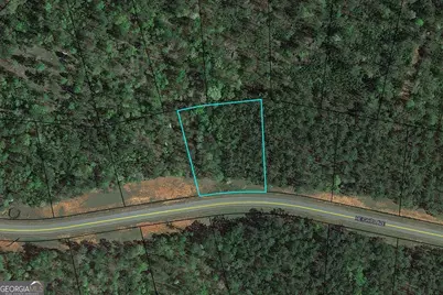 120 Heights Avenue, Forsyth, GA 31029 - Photo 1