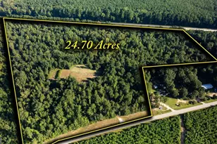 1901 Grey Land Rd, Greensboro, GA 30642 - Photo 1