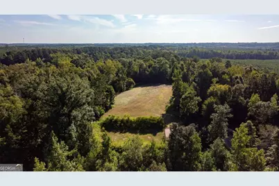 1901 Grey Land Road, Greensboro, GA 30642 - Photo 24