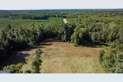 1901 Grey Land Road, Greensboro, GA 30642 - Photo 30