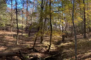 1020 Troublesome Creek Ln, Greensboro, GA 30642 - Photo 50