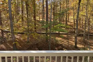 1020 Troublesome Creek Ln, Greensboro, GA 30642 - Photo 54