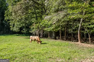 186/188 Hwy 136 Connector, Talking Rock, GA 30175 - Photo 12