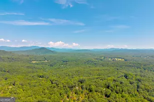 807 Satterfield Rd, Cleveland, GA 30528 - Photo 76