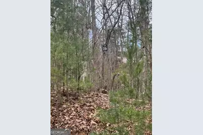 Lot 16R Leatherwood Mtn, Cherrylog, GA 30522 - Photo 4