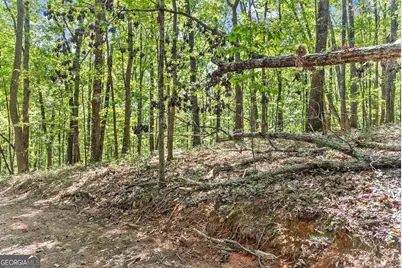 0 Helton Road, Cleveland, GA 30528 - Photo 34