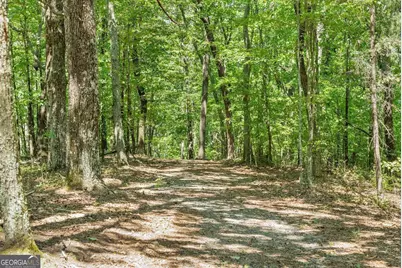 0 Helton Road, Cleveland, GA 30528 - Photo 38