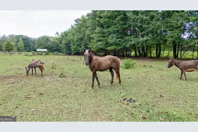 3521 Macon Highway, Watkinsville, GA 30677 - Photo 4