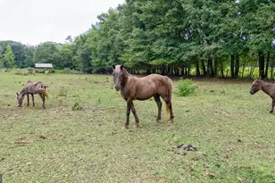 3521 Macon Hwy, Watkinsville, GA 30677 - Photo 4