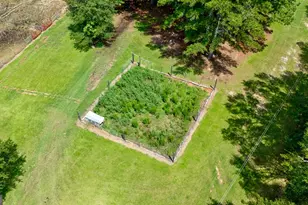 3521 Macon Hwy, Watkinsville, GA 30677 - Photo 12