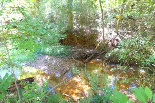 355 Dumas Rd, Forsyth, GA 31029 - Photo 50