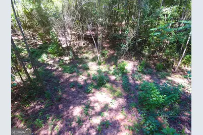 355 Dumas Road, Forsyth, GA 31029 - Photo 44