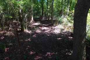 355 Dumas Rd, Forsyth, GA 31029 - Photo 46