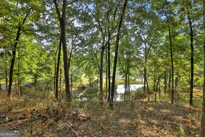 500 Dickson Springs Road, Fayetteville, GA 30215 - Photo 76