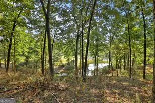 500 Dickson Springs Rd, Fayetteville, GA 30215 - Photo 76