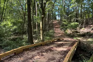 105 Magnolia Dr, Monticello, GA 31064 - Photo 66