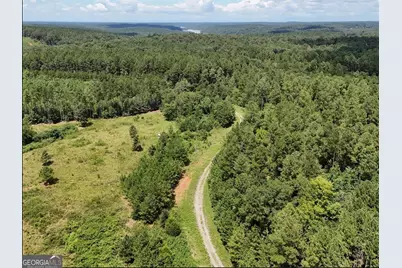 0 Jacks Hat Road, Elberton, GA 30635 - Photo 8