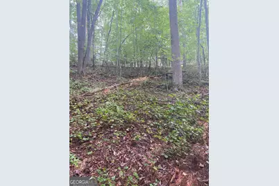 27 Mountain Creek Hollow Drive, Talking Rock, GA 30175 - Photo 14