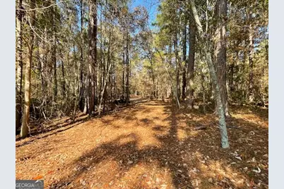 3195 Middleground Road, Statesboro, GA 30461 - Photo 24