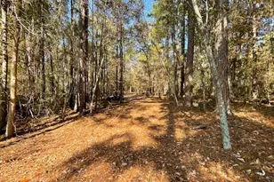 3195 Middle Ground Rd, Statesboro, GA 30461 - Photo 24