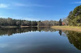 3195 Middle Ground Rd, Statesboro, GA 30461 - Photo 2