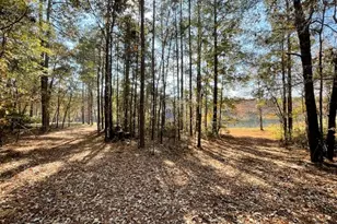 3195 Middle Ground Rd, Statesboro, GA 30461 - Photo 26