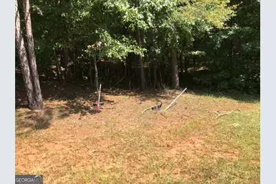 0 Lot 203 Jamesway Drive, Sparta, GA 31087 - Photo 6