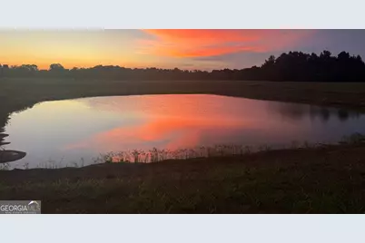 379 Horseshoe Bend Road, Montezuma, GA 31063 - Photo 50