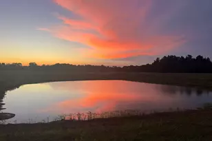 379 Horseshoe Bend Rd, Montezuma, GA 31063 - Photo 50