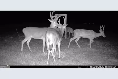 379 Horseshoe Bend Road, Montezuma, GA 31063 - Photo 52