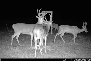 379 Horseshoe Bend Rd, Montezuma, GA 31063 - Photo 52