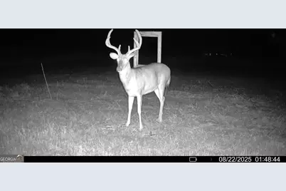 379 Horseshoe Bend Road, Montezuma, GA 31063 - Photo 54