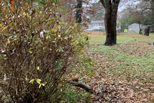 10065 Brass Ring Rd, Jonesboro, GA 30238 - Photo 42