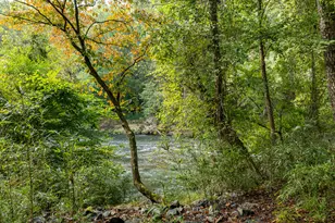 54 1st St, Ellijay, GA 30540 - Photo 20