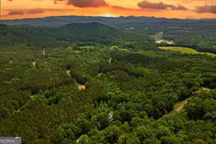 239 Ridge Top Dr, Ellijay, GA 30536 - Photo 10