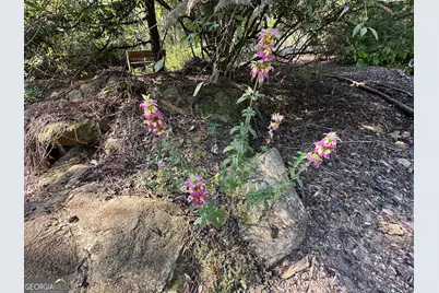 776 McBride Road, Fayetteville, GA 30215 - Photo 34