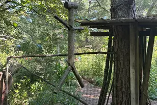 776 McBride Rd, Fayetteville, GA 30215 - Photo 24